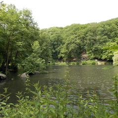 Natureparif rencontres naturalistes