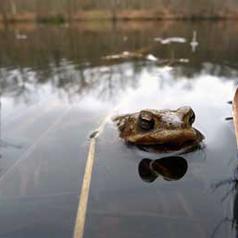 Natureparif rencontres naturalistes
