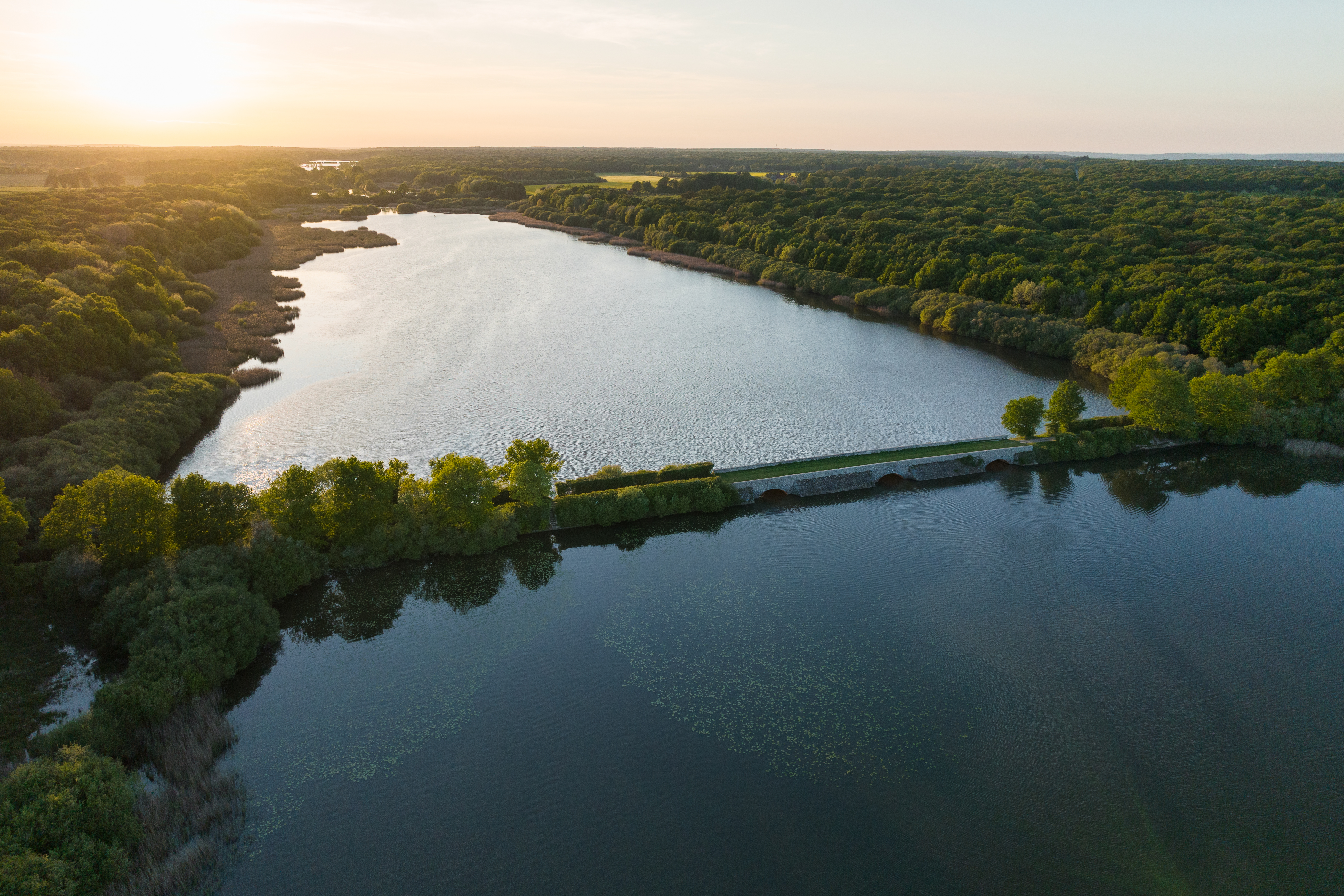 Etangs de Hollande