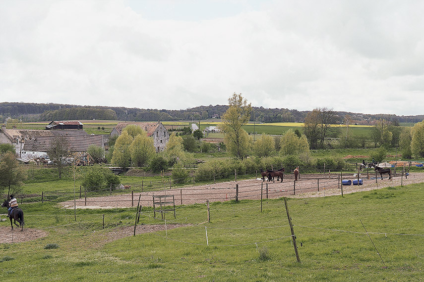 2005