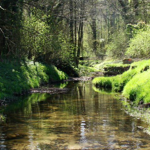 Rivière Rivière