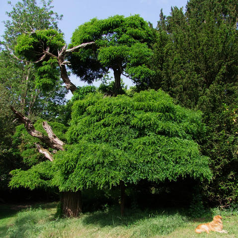 Jardins d ici et d ailleurs