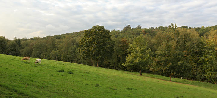 saint lambert des bois parc naturel regional de la haute vallee de chevreuse