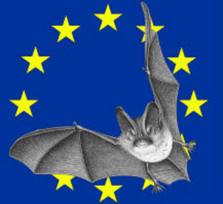 logochauve sourisnuitnet.jpg logochauve sourisnuitnet.jpg