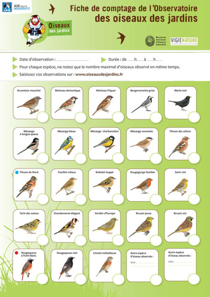 2020-fichesodjoiseaux_1-1.jpg 2020-fichesodjoiseaux_1-1.jpg