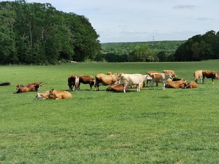 2022-ferme- de- romainville.jpg 2022-ferme- de- romainville.jpg