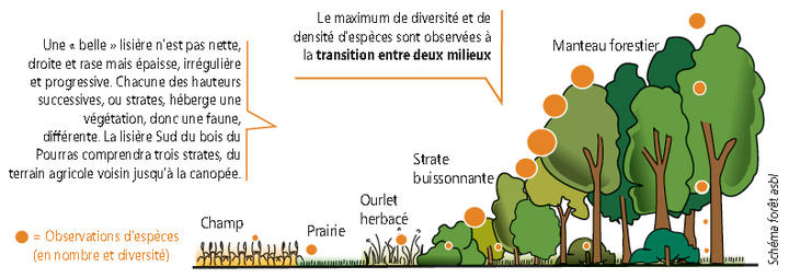 Lisières de Pourras Lisières de Pourras