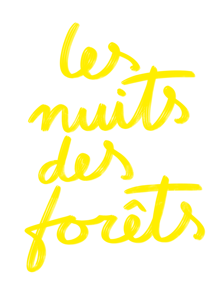 2022-ndf_logo_jaune.png
