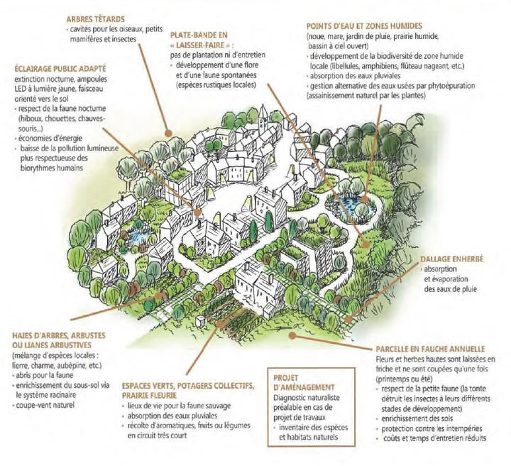 Ville et biodiversité Ville et biodiversité