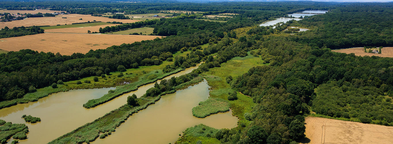 Etang de Saint Hubert Parc naturel r gional de la Haute Etang de Saint Hubert Parc naturel r gional de la Haute
