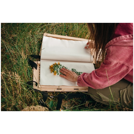 Herbier