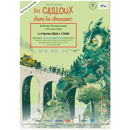 des cailloux dans la chaussure