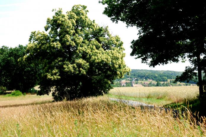 Améliorer le rendement du chauffage au bois  Parc Naturel de la Haute  Vallée de Chevreuse