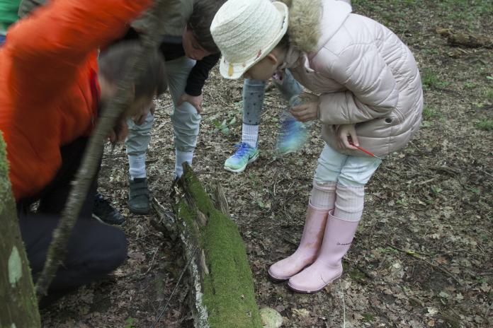 activités nature enfants