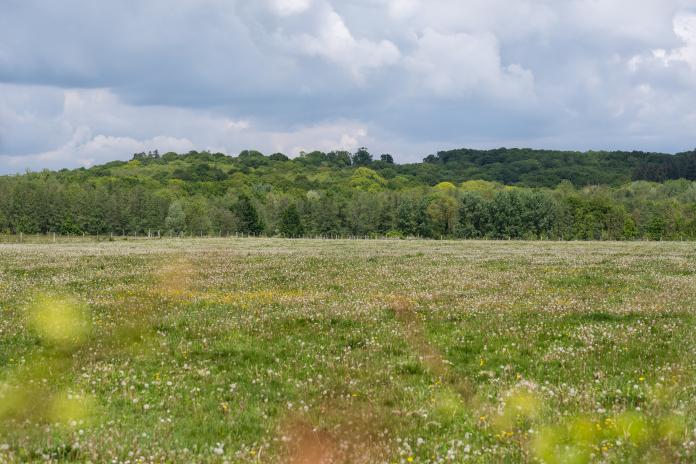 prairie printemps