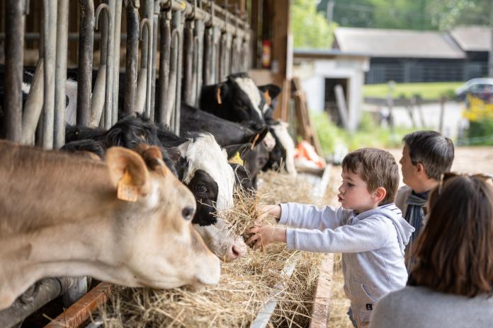 ferme coubertin visite enfants