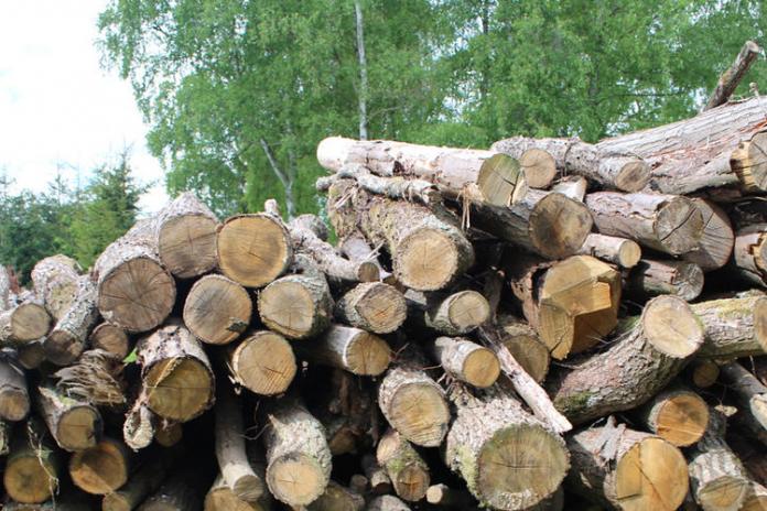 Améliorer le rendement du chauffage au bois  Parc Naturel de la Haute  Vallée de Chevreuse