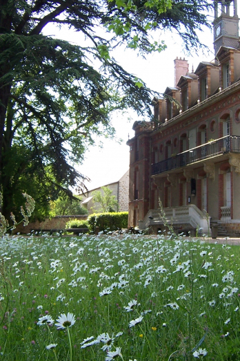 Musée Port-royal