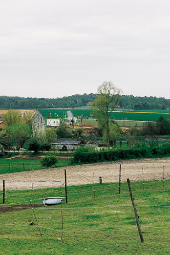 2000