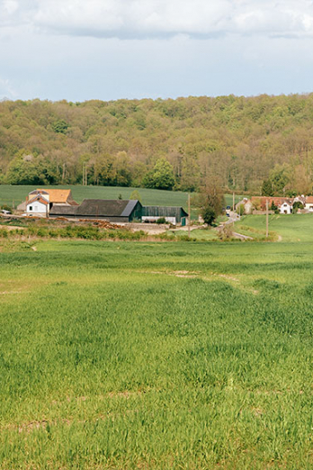 2008