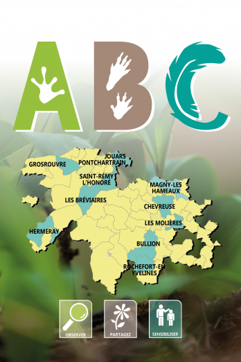 abc