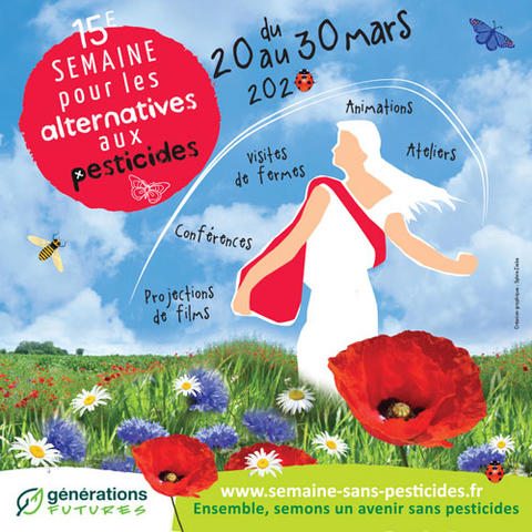 2020alternatives.jpg 2020alternatives.jpg