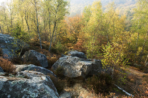 paysages vaux de cernay