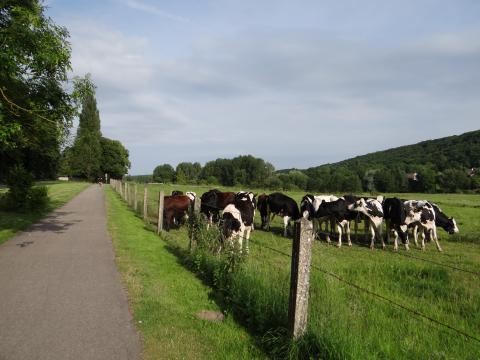 paysage prairie coubertin