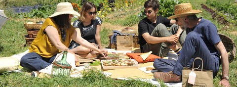 lebonpicnic_bandeau1.jpg lebonpicnic_bandeau1.jpg