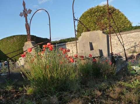 herbes folles cimetiere