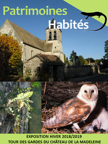 expo patrimoinehabité2018_expo3.png expo patrimoinehabité2018_expo3.png