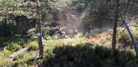 2020-equievent- rando1.jpg 2020-equievent- rando1.jpg