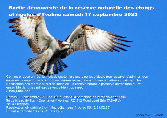 Sortie découverte de la réserve naturelle des étangs et rigoles d'Yveline