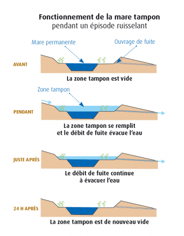 schema fonctionnement mare tampon