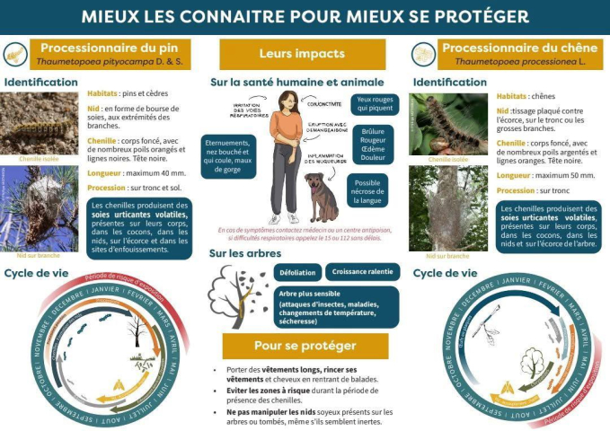 Mieux se protéger
