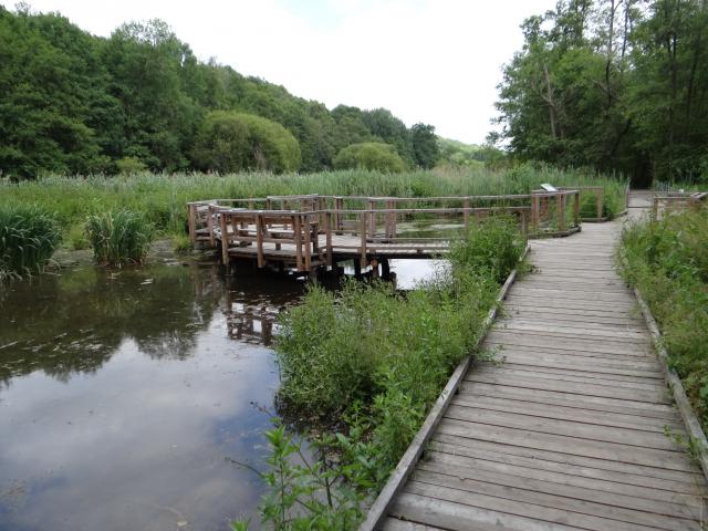 Sentier de Maincourt