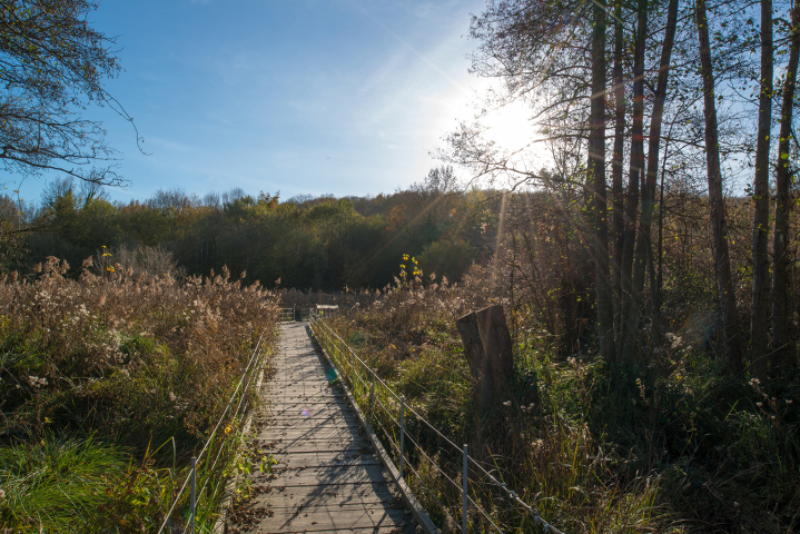 marais et sentier de maincourt