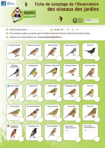 2020-fichesodjoiseaux_1-1.jpg