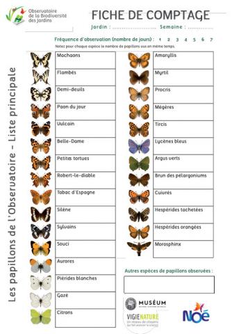 2020_pdf_fiche-comptage-papillon.jpg