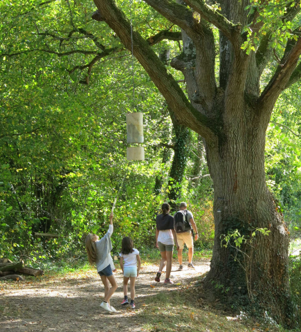 Sentier des Maréchaux