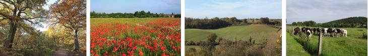 Paysages de la Vallée de Chevreuse