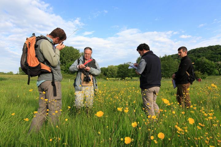 jury concours prairie fleurie