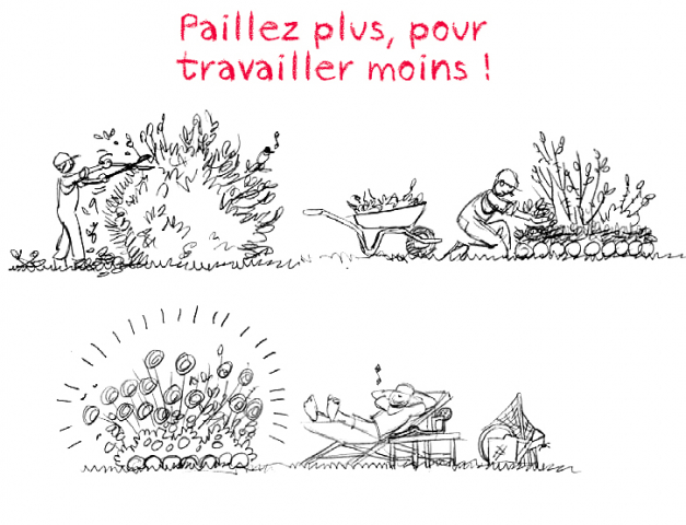 dessin paillage