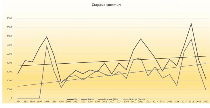 crapauduc