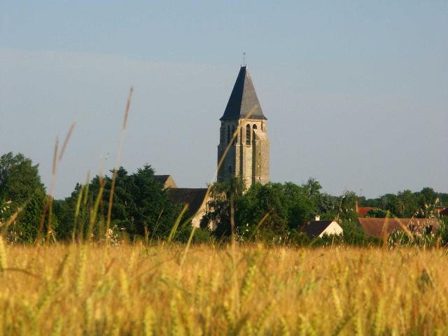Sonchamp
