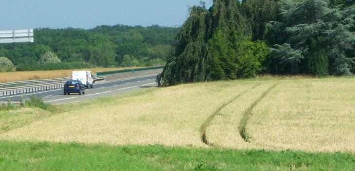 Axes routiers thèse cerfs