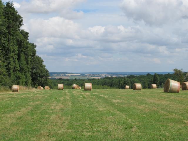 Plaine de Jouars à Montfort