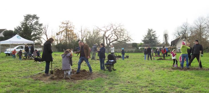 Plantation verger Méré