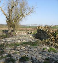 Diodurum, Ferme d'Ithe Diodurum, Ferme d'Ithe