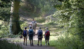 randonneur foret randonneur foret